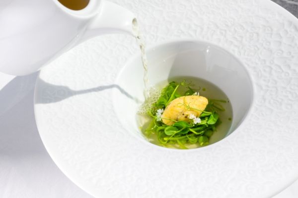 Green pea consommé with parsley and sugar snap peas